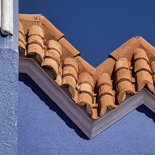 Award-winning photograph Up and Down Roof by Glenn Goldman, 2026 MUSE Photography Awards Gold Winner