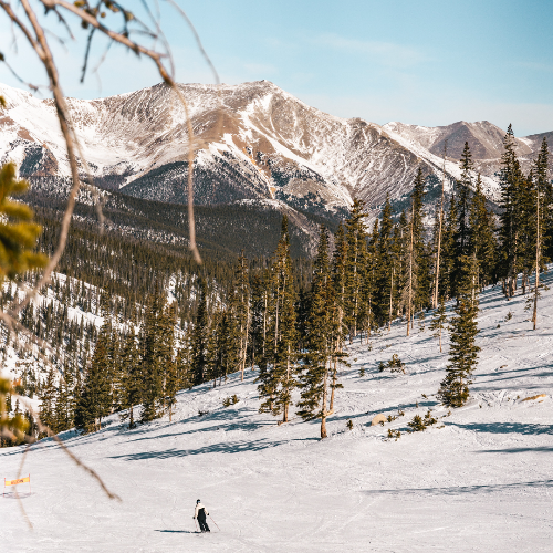 Award-winning photograph Lines We Ride Back To by Wei-Chen Lou, 2026 MUSE Photography Awards Gold Winner