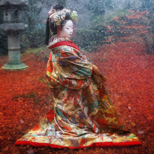 Award-winning photograph Autumn at Joshoji by Robin Yong, 2026 MUSE Photography Awards Gold Winner