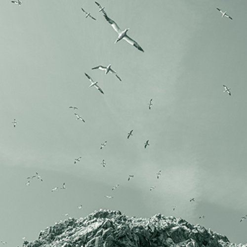 Award-winning photograph Celestial Callygraphy by Marcel van Beek, 2026 MUSE Photography Awards Platinum Winner