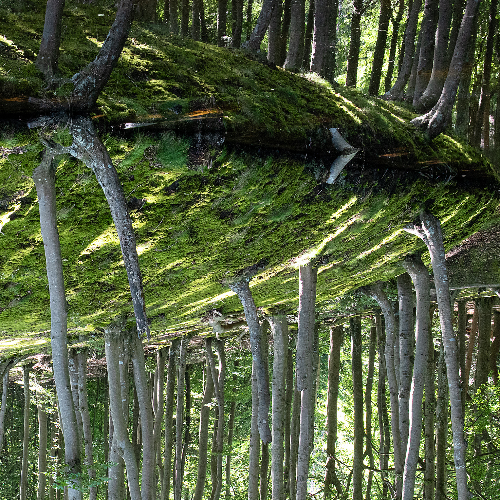 Award-winning photograph The Witch's Looking-Glass by Marcel van Beek, 2026 MUSE Photography Awards Silver Winner