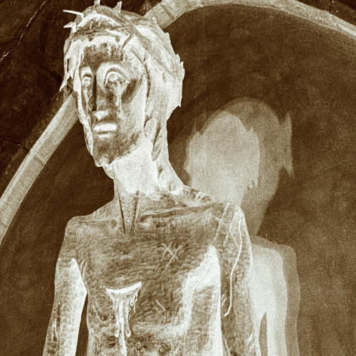 Award-winning photograph The Shadow of the Son by Marcel van Beek, 2026 MUSE Photography Awards Silver Winner