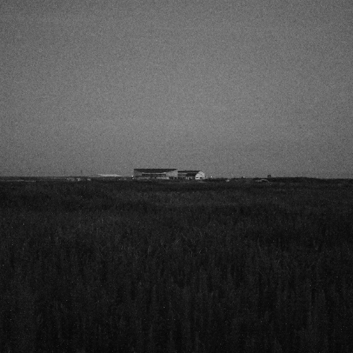 Award-winning photograph Silent Witnesses: Layers of Memory in Fukushima (2011–2026) by TAKESHI YAMAMOTO, 2026 MUSE Photography Awards Gold Winner