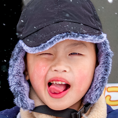Award-winning photograph A Pure Wink in the Snow by Jiasiou Wu, 2026 MUSE Photography Awards Silver Winner