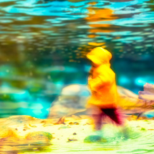 Award-winning photograph Under the Sea by Kylo-Patrick Hart, 2026 MUSE Photography Awards Gold Winner