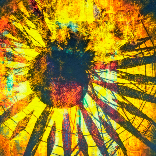 Award-winning photograph Immolation by Kylo-Patrick Hart, 2026 MUSE Photography Awards Gold Winner