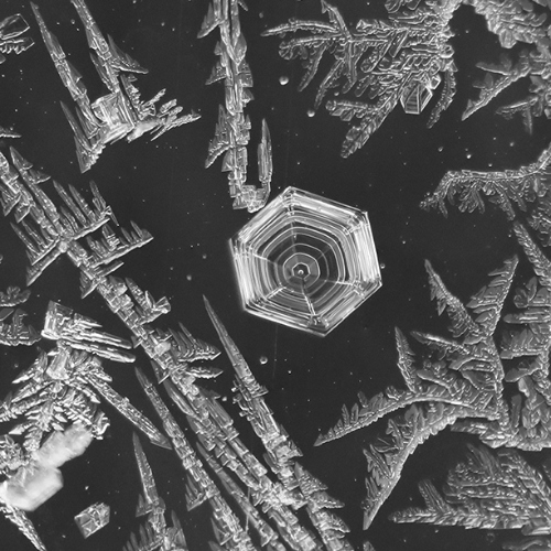 Award-winning photograph Frosty Trails by Melissa N. Robertson, 2026 MUSE Photography Awards Gold Winner