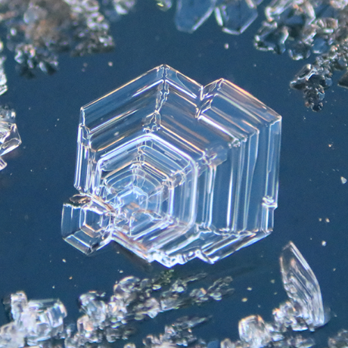 Award-winning photograph Birthday's Surprise Frost by Melissa N. Robertson, 2026 MUSE Photography Awards Platinum Winner