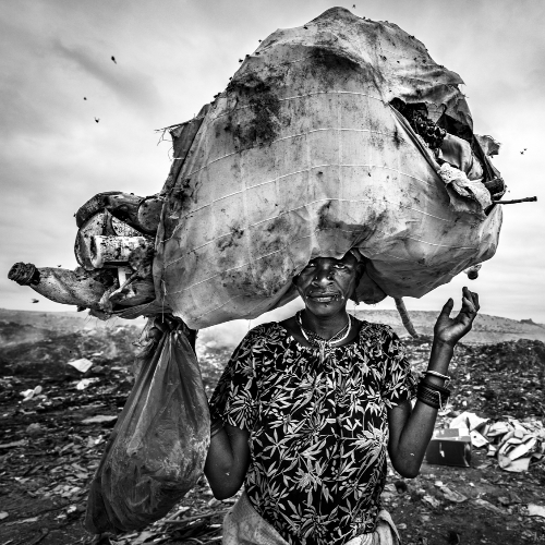 Award-winning photograph The end of the day by João Coelho, 2026 MUSE Photography Awards Platinum Winner