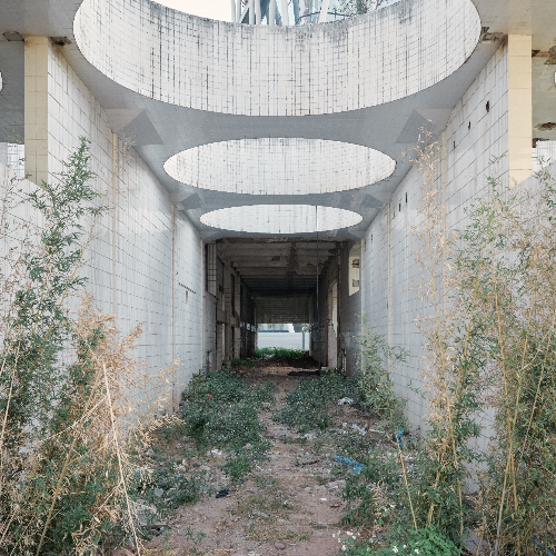 Award-winning photograph Interstices by ZhaoYi Chen, 2026 MUSE Photography Awards Silver Winner