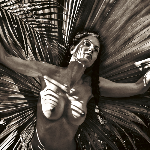 Award-winning photograph Solar Ascendant by Kelly William Wright, 2026 MUSE Photography Awards Platinum Winner