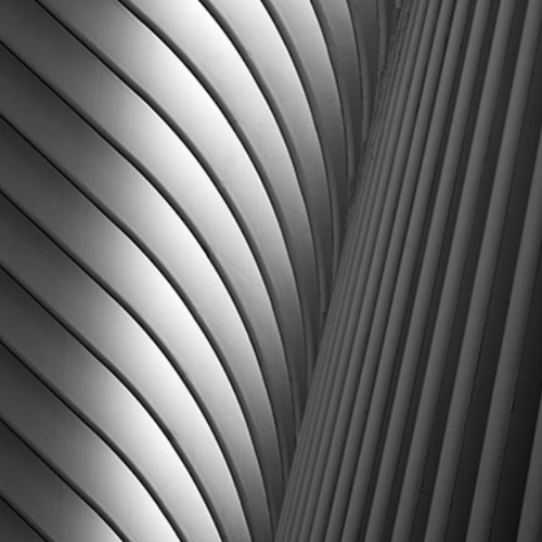 Award-winning photograph Emergence by Jennifer Batey, 2026 MUSE Photography Awards Gold Winner