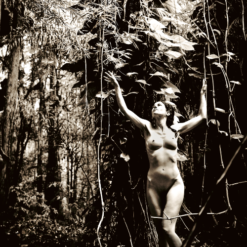 Award-winning photograph Woods Walker by Kelly William Wright, 2026 MUSE Photography Awards Gold Winner