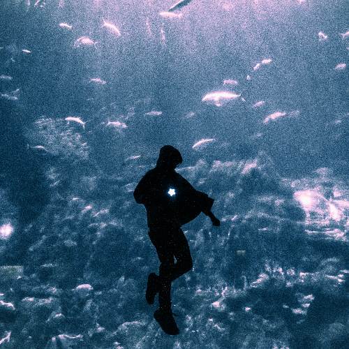 Ocean