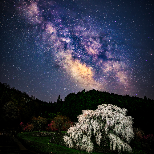 Guardian of the Night Sky