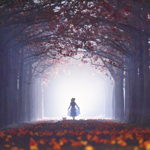 The Light Chaser