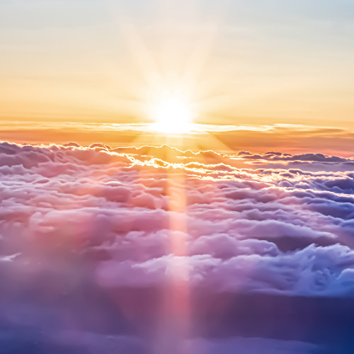 The Sun Also Rises