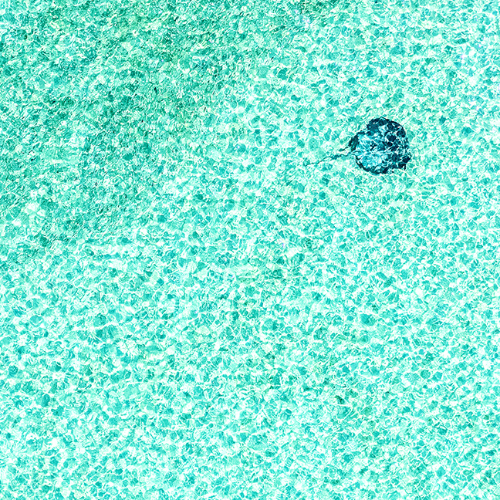 Stingray Minimalism