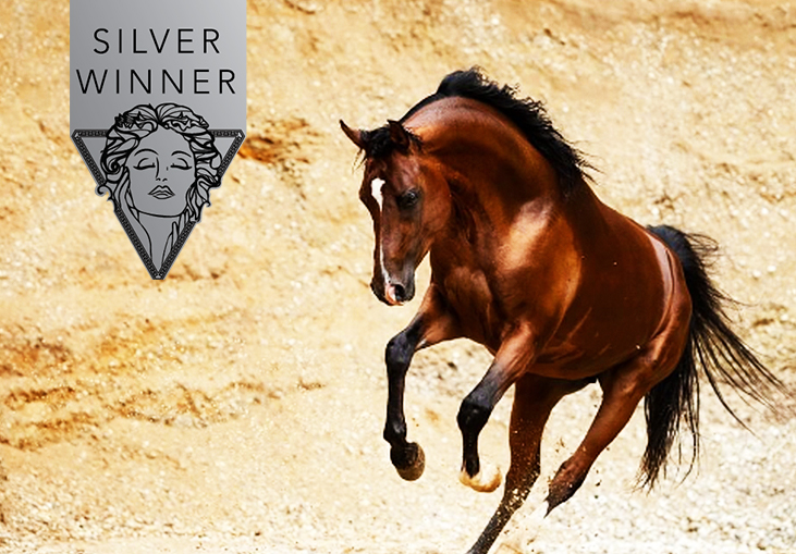 One image and one series were awarded SILVER by Verena Dechant for Outstanding Pet Photography