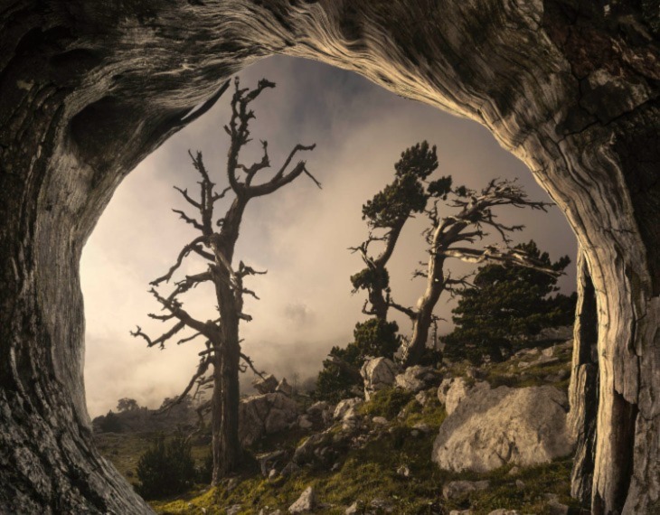 Roksolyana Hilevych stuns with Pollino : A Look Into The Past 
