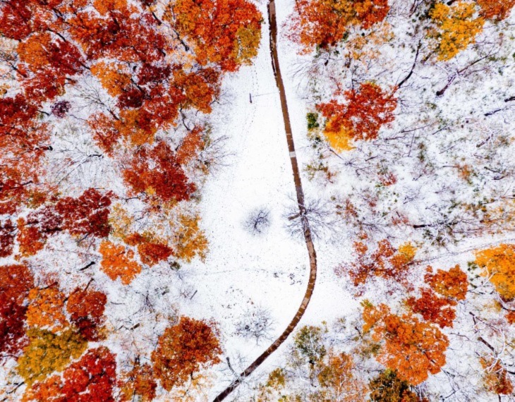 Gold Medal Awarded to OGEE VISUALS for Breathtaking Nature Photography!