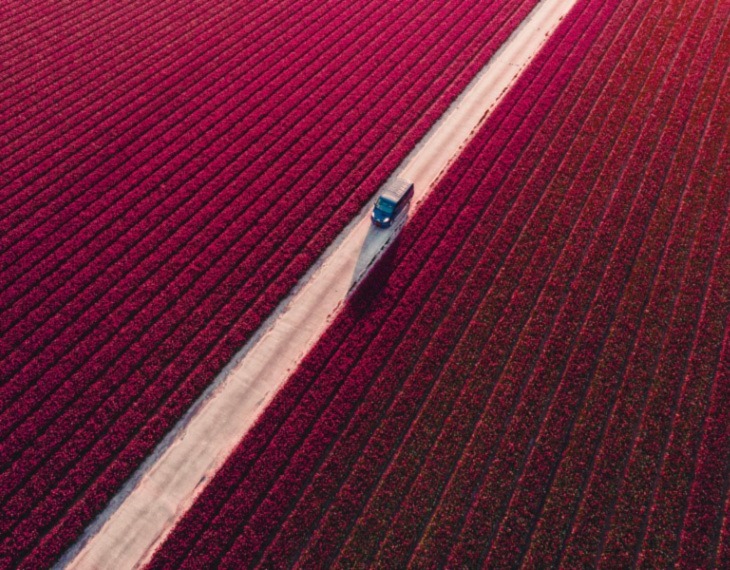 MUSE Photography Awards Releases 2021 Winner List!