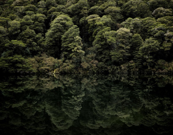 Stephan Romer Photographs Hauntingly Still Lake Lochie in New Zealand!