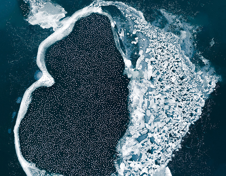 Thank you MUSE Photography Awards for the recognition!