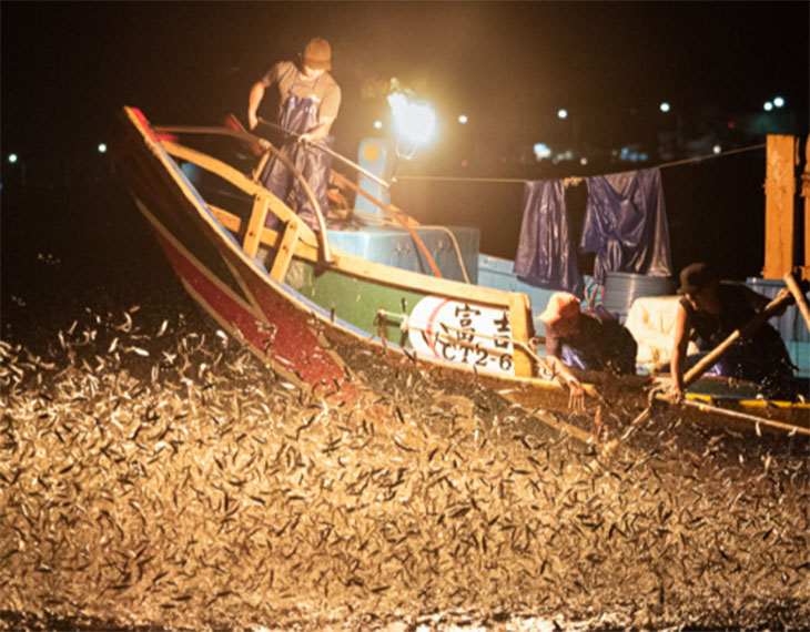 Cho Jen Lee just scored 4 Golds and a Silver Award at the 2024 MUSE Photography Awards!