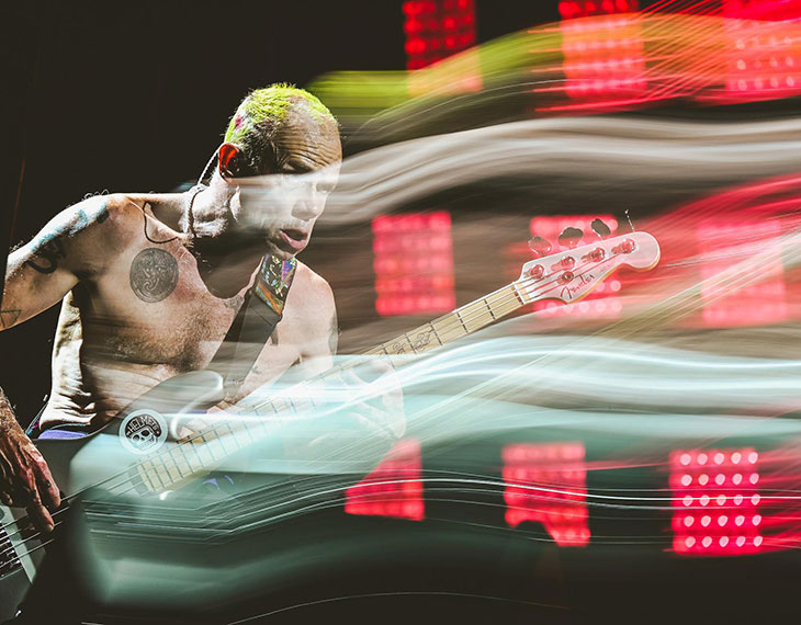 'Just FLEA' by Martina Mlcuchova from Slovakia just scored a Gold Award at the 2024 MUSE Photography Awards!