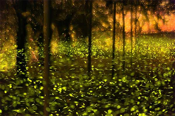 Chia-He Hung won several awards with his first-ever entries at the MUSE Photography Awards!